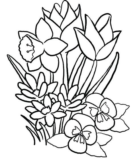 Fall Flowers Coloring Pages At Getdrawings Free Download