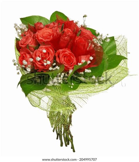 Bunch Red Rose Flowers Isolated On Stock Photo 204995707 Shutterstock