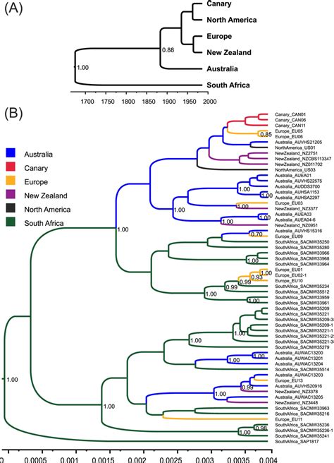 Maximum Clade Credibility Trees Of Phytophthora Multivora Each Was