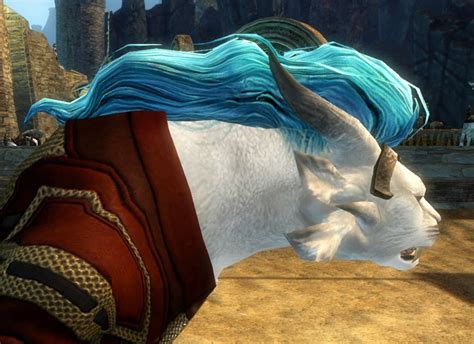 Thanks to everyone who took the time to help when you could. GW2 new hairstyles in Twilight Assault patch - Dulfy