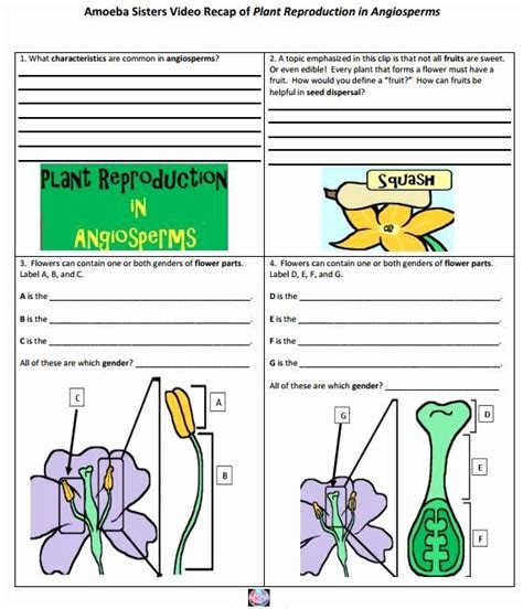 50 plant reproduction worksheet answers in 2020 flower reproduction teaching plants handouts