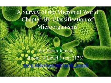 Bacterial Morphology And Classification
