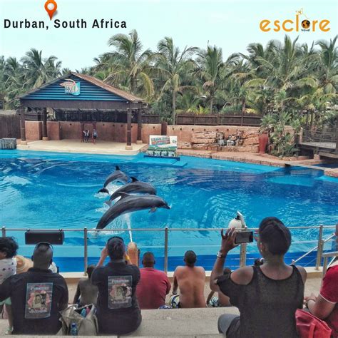 Ushaka Marine World Is A Popular South African Marine Theme Park And