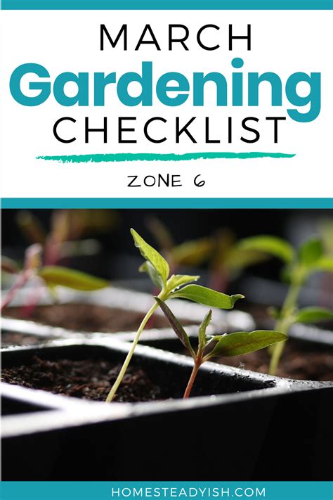 Gardening Checklist March Homesteadyish March Gardening Checklist