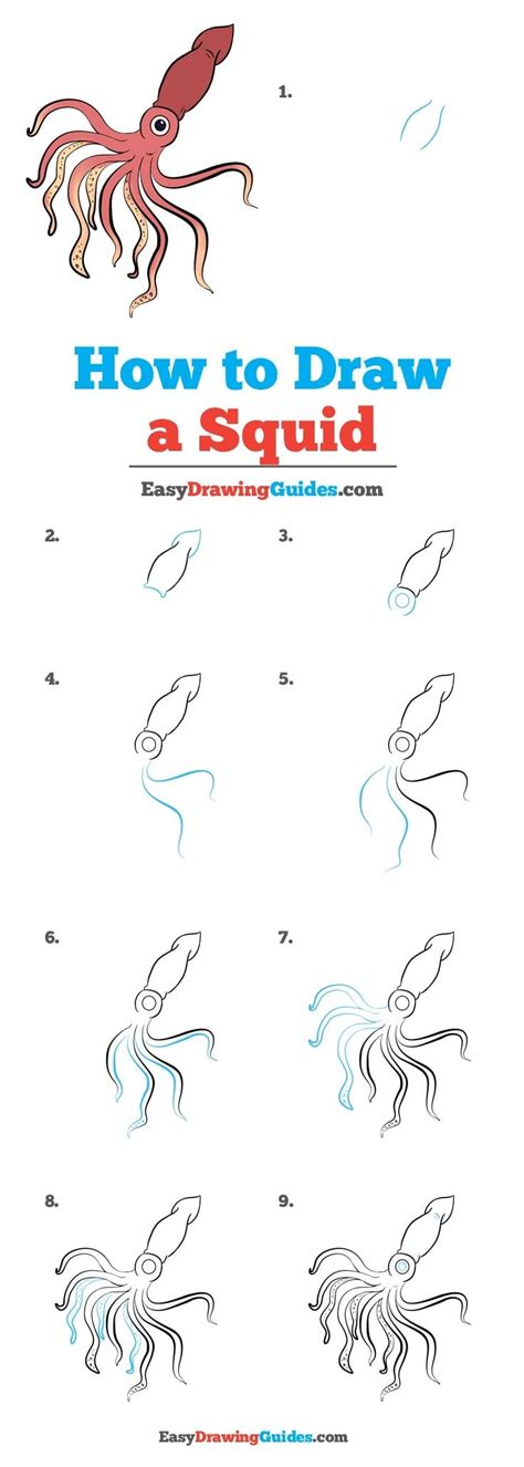 How To Draw A Squid Really Easy Drawing Tutorial Drawing Tutorials