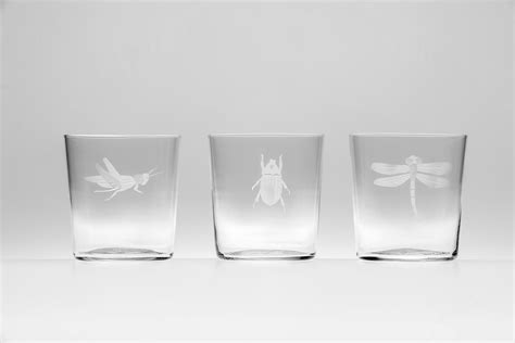 Set Of 6 Engraved Insect Glasses Cegi Casarialto