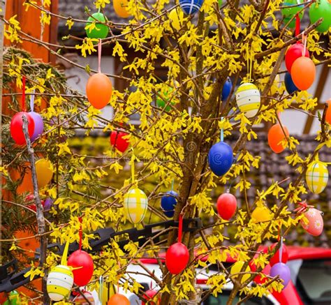 Easter Tree Decorated With Colorful Easter Eggs Germany Europe Stock