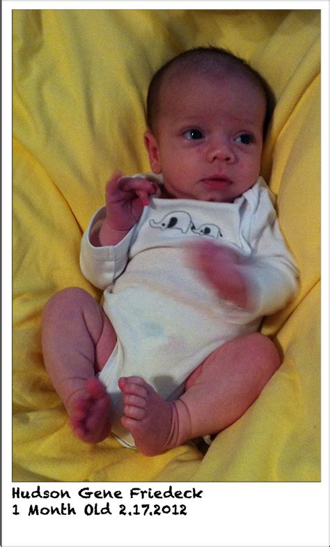 The Friedecks Sweet Baby Boy 1 Month