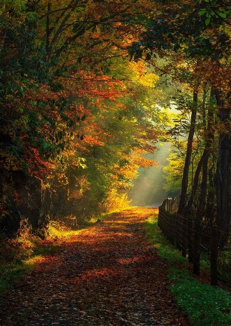 Pin By Zoryana Kosmina On Nature Paysages Beautiful Landscapes Landscape Autumn Scenery