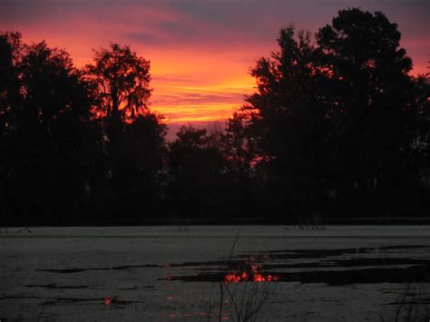 Beckys Sunrise Over Alligator Lake Photograph By Rd Erickson Pixels