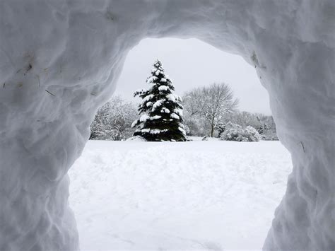 Inside A Snow Igloo Stunning Photography Photography Igloo