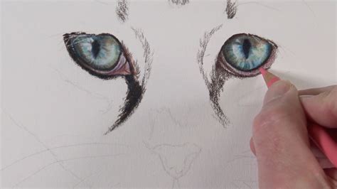 How To Draw Cat Eyes With Colored Pencils
