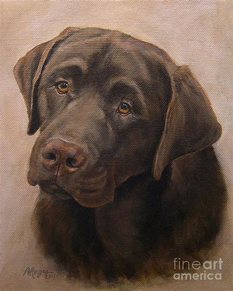 Chocolate Labrador Retriever Portrait Painting By Amy Reges