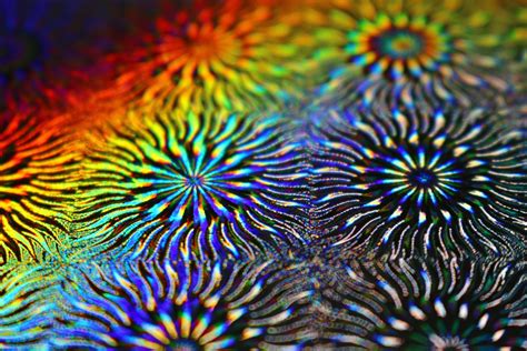 무료 이미지 꽃 수중 종이 산호초 닫다 홀로그램 무지개 빛깔의 매크로 사진 유기체 인화지 건설 용지 해양