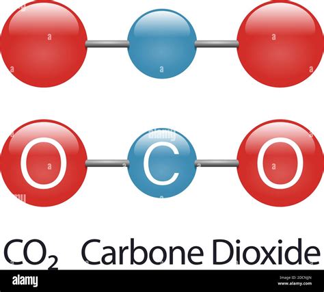 Carbon Dioxide Greenhouse Gas Atom Model Co2 Red Blue Vector