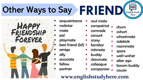 Tradução Do Texto What Is A Friend