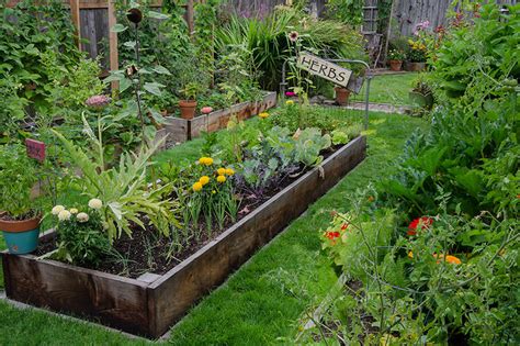 Are Backyard Gardens A Weapon Against Climate Change