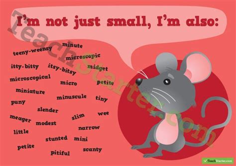 Other Words For Small Synonym Poster Teaching Writing Book Writing