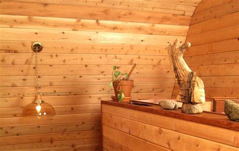 Interior Log Cabin Paneling Tips Interesting Ideas For Home