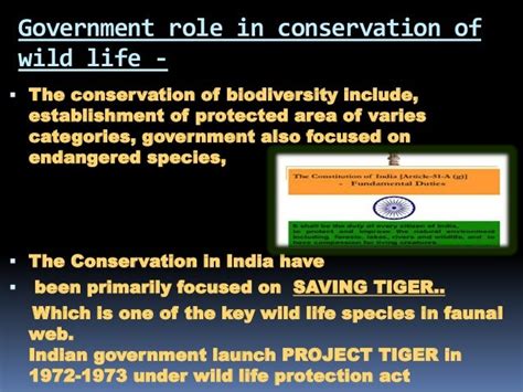 Project Tiger And Wild Life Conservation In India