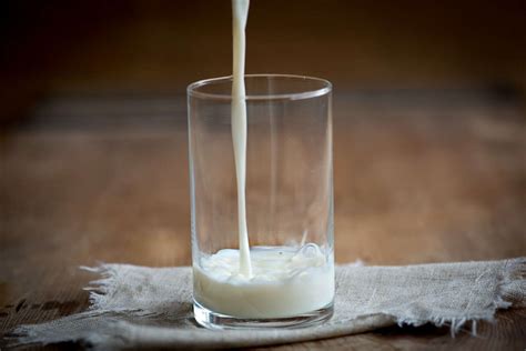 Susu, minyak ikan, kuning telur. Apa Saja Fungsi & Sumber Vitamin pada Unggas? | Pak Tani ...