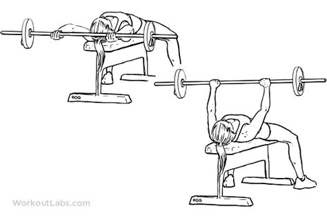 Barbell Pullovers Lying Chest Overhead Extensions Workoutlabs