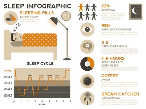 มาทำความรู้จักระดับการนอน Sleep Stages และวงจรการนอน Sleep Cycle