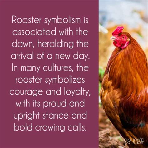 Rooster Symbolism 5 Remarkable Meanings Across Various Cultures