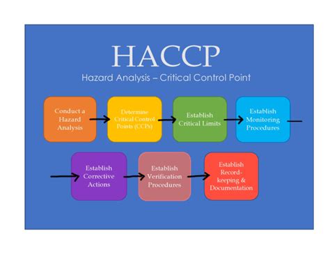 Haccp Templates Free Of Examples Of A Haccp Flow Char Vrogue Co