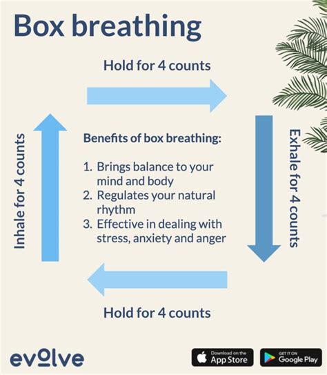 Box Breathing Technique For Stress And Anxiety Relief Evolve