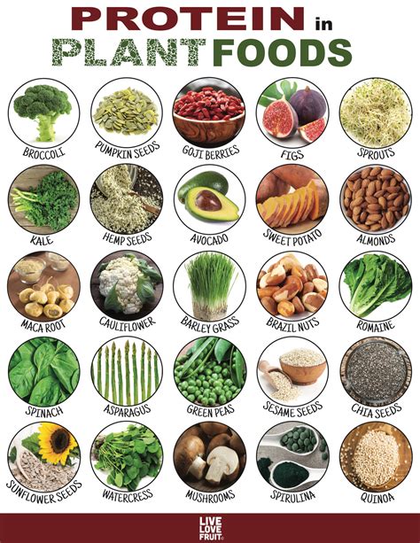 Plant Protein Your Guide To 24 Protein Packed Plant Foods Live Love