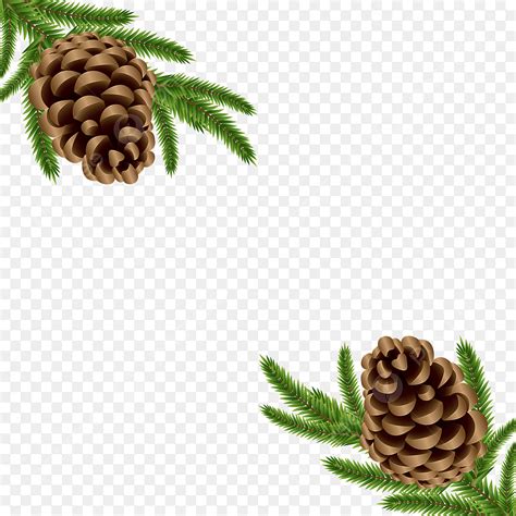 Christmas Pine Cones Png Image Christmas Pine Tree Branch With Cone
