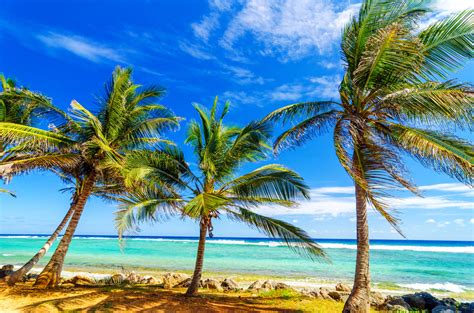 L'île de san andrés a un climat chaud avec une température moyenne de 27 degrés sur l'année. Plages secrètes et douce brise en Colombie