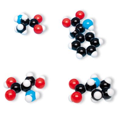 Amino Acid 7 Model Molecular Models
