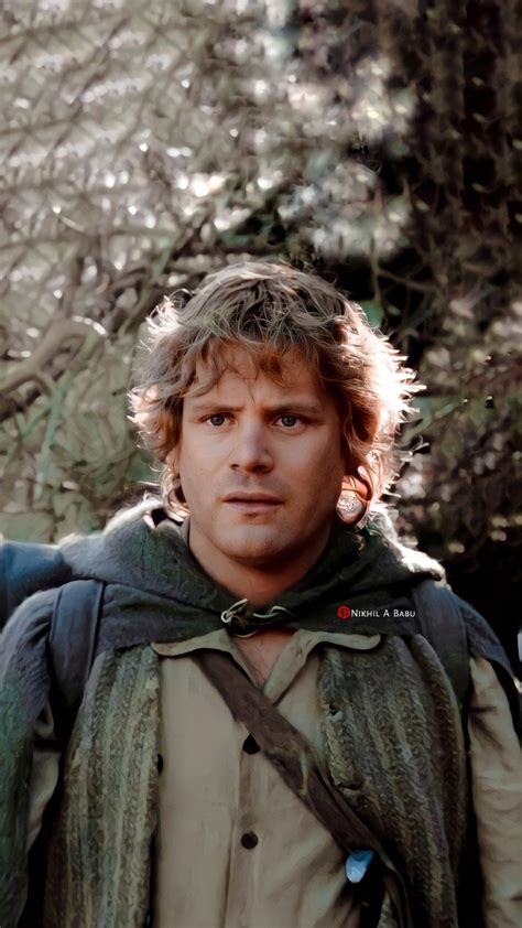 Lord Of The Rings Return Of The King Samwise Gamgee Lord Of The