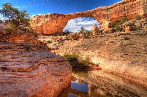 Natural Bridges National Monument By Douglas Pulsipher Natural