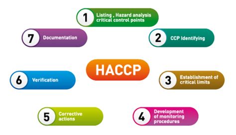 What Is Haccp