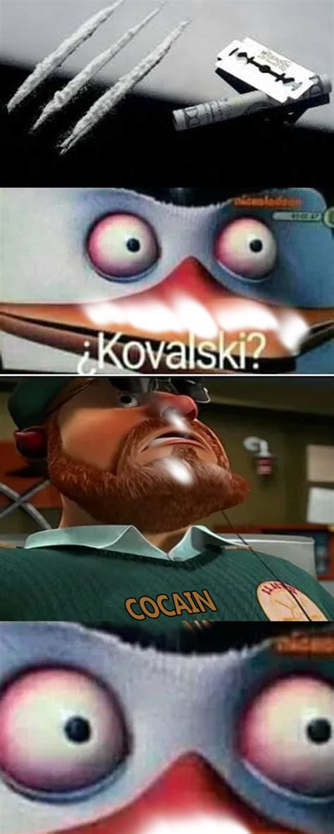 kowalski analysis kowalski know your meme
