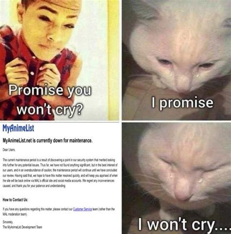 promise me you won t cry guys r animemes