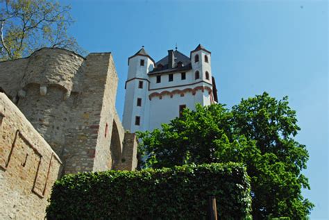 Kurfürstliche Burg In Eltville ⋆ Rheingau Die Weinregion