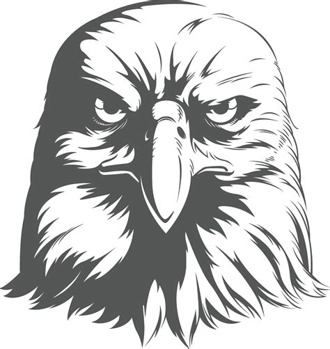 Eagle Falcon Hawk Head Front View Silhouette Black Illustration 2144061