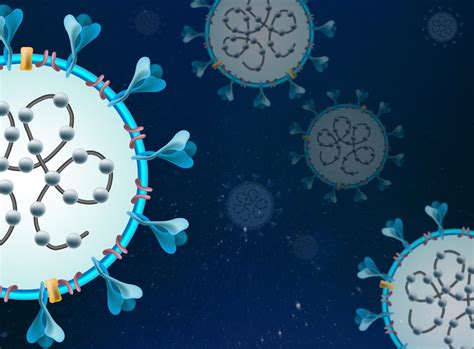 The Covid 19 Virus By The Numbers Biology And Biological Engineering