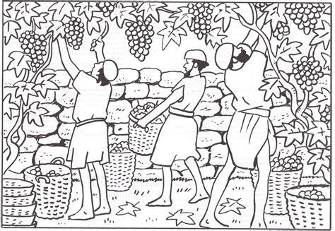 The Workers In The Vineyard Christian Coloring Pages Nt Pinterest