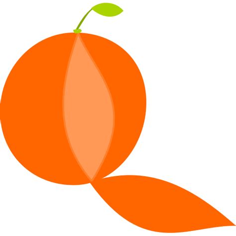 Orange Peeled Png Image Purepng Free Transparent Cc0 Png Image Library