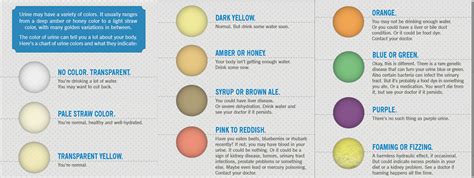 Urine Color Pictures To Pin On Pinterest Pinsdaddy Effy Moom Free Coloring Picture wallpaper give a chance to color on the wall without getting in trouble! Fill the walls of your home or office with stress-relieving [effymoom.blogspot.com]