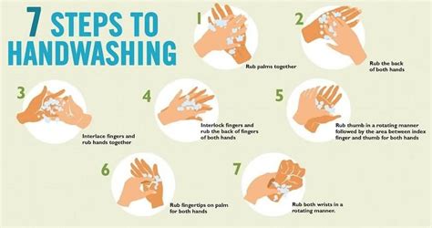 8 Steps Of Hand Washing Global Handwashing Day Hand Washing Facts