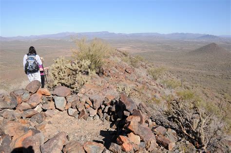 Arizona Hiking Now Blooming Phoenix Sonoran Preserve