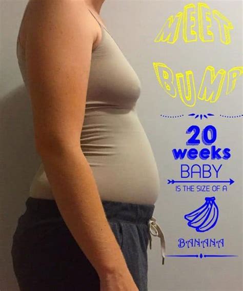20 Weeks Pregnant With Twins Ultrasound Belly Pictures And Symptoms