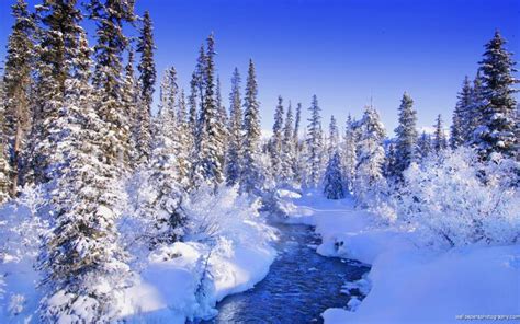 Free Download Winter And Snow Scenes Desktop Wallpapers For Widescreen