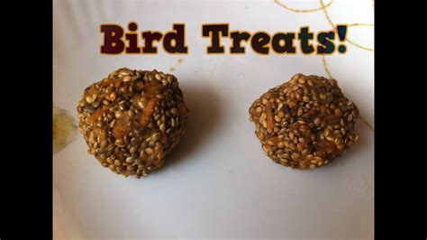 How To Make Easy Homemade Bird Foodtreats Bird Food For Budgies